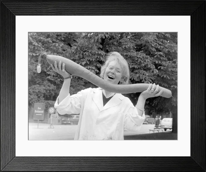 Framed Print : Cervelat sausage Framed Print : Cervelat sausage