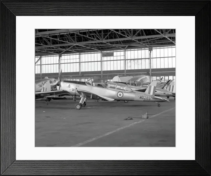 Framed Print : de Havilland DHC-1 Chipmunk T.10 WD289 Framed Print : de Havilland DHC-1 Chipmunk T.10 WD289