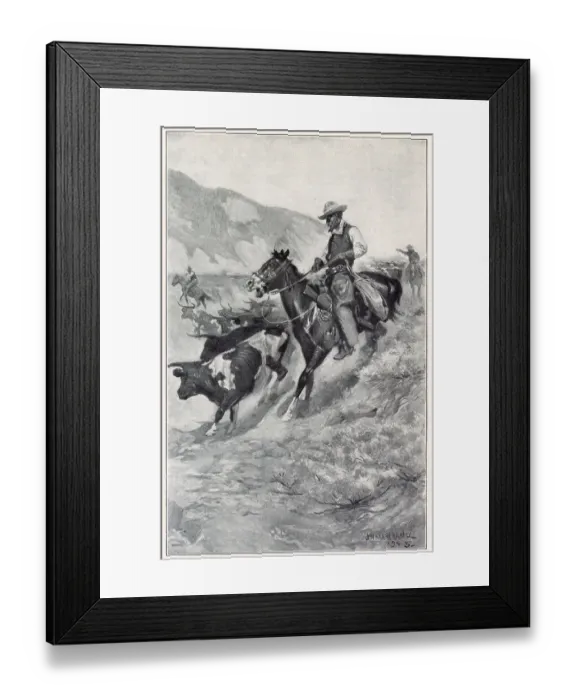 Framed Print : Scene during a round-up. Date: 1905 Framed Print : Scene during a round-up. Date: 1905