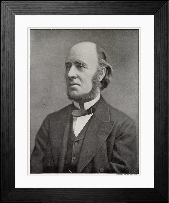 Framed Print : William Edward Hartpole Lecky (1838 - 1903), Historian and politician, Date: 1895 Framed Print : William Edward Hartpole Lecky (1838 - 1903), Historian and politician, Date: 1895