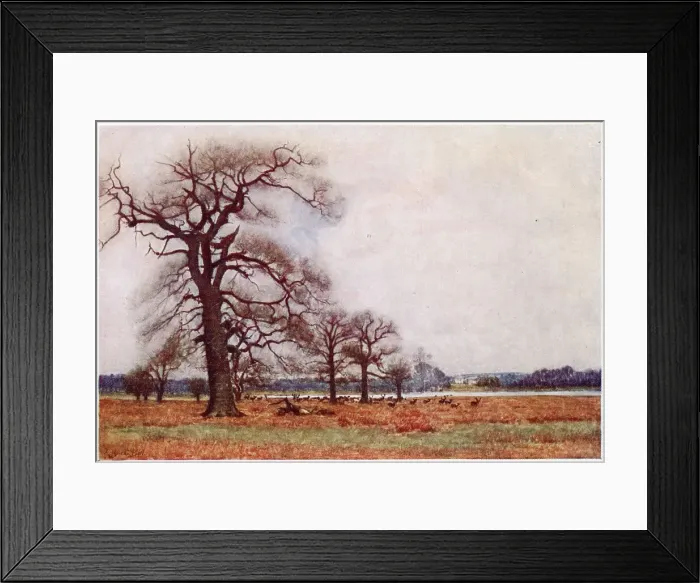 Framed Print : Richmond, Surrey: Richmond Park with the White Lodge Date: 1907 Framed Print : Richmond, Surrey: Richmond Park with the White Lodge Date: 1907