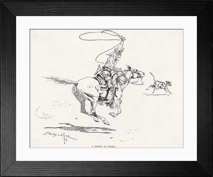 Framed Print : Catching a runaway steer with the lassoo Date: 1896 Framed Print : Catching a runaway steer with the lassoo Date: 1896