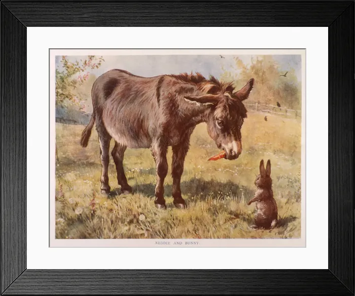 Framed Print : A donkey and a rabbit converse in a field. Date: 1890s Framed Print : A donkey and a rabbit converse in a field. Date: 1890s