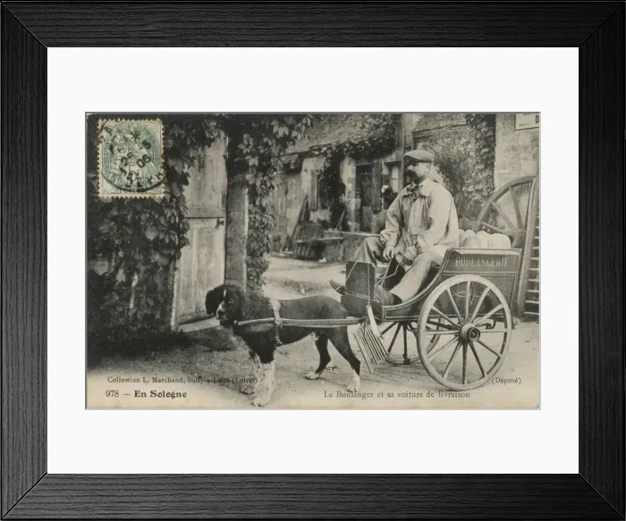 Framed Print : A French baker sits in his cart ready to deliver his bread, his dog stands ready to move off. Date: 1906 Framed Print : A French baker sits in his cart ready to deliver his bread, his dog stands ready to move off. Date: 1906