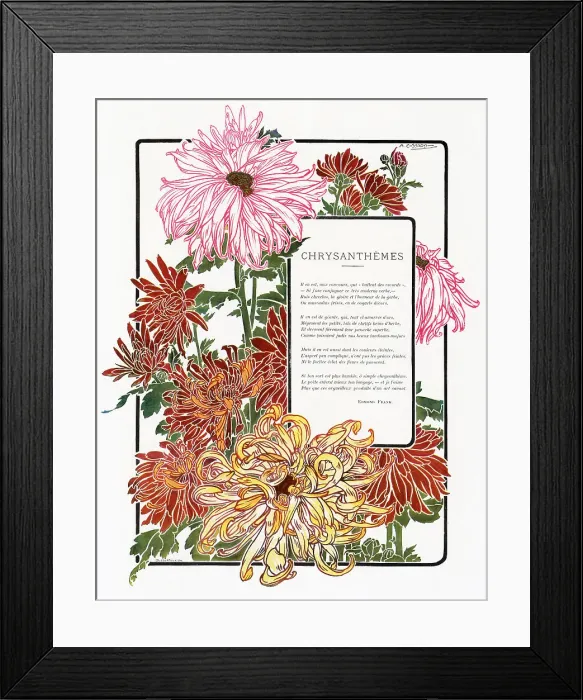 Framed Print : Surrounded by chrysanthemums. Date: 1903 Framed Print : Surrounded by chrysanthemums. Date: 1903
