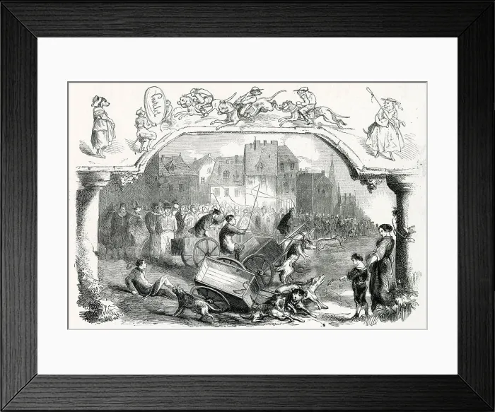 Framed Print : A race between dog-hauled carts takes place at Brussels, Belgium - but not all the contestants make it to the finishing line. Date: 1858 Framed Print : A race between dog-hauled carts takes place at Brussels, Belgium - but not all the contestants make it to the finishing line. Date: 1858