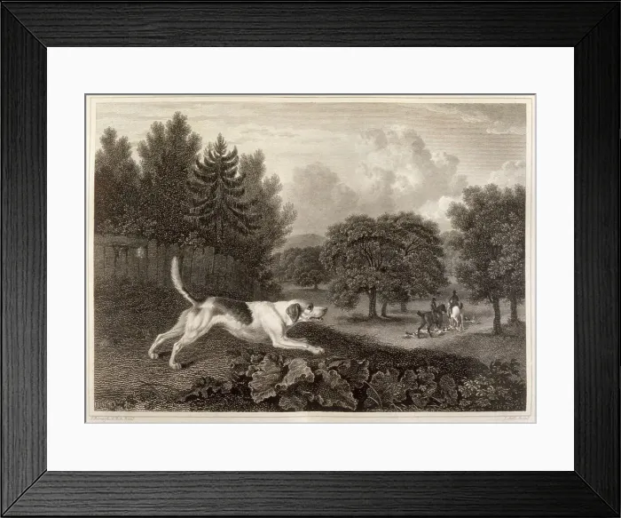 Framed Print : A harrier hound hunting with his master. Date: 1804 Framed Print : A harrier hound hunting with his master. Date: 1804
