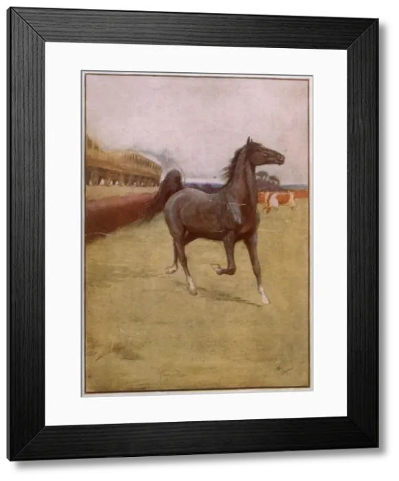 Framed Print : Black Beauty experiences his first train. Date: circa 1930 Framed Print : Black Beauty experiences his first train. Date: circa 1930
