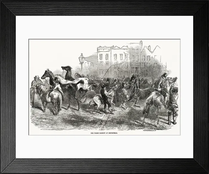 Framed Print : Traders and animals at the Smithfield Horse Market in London. This chaotic scene shows the danger of the market, with a large number of excited or upset animals in close proximity. Date: 1849 Framed Print : Traders and animals at the Smithfield Horse Market in London. This chaotic scene shows the danger of the market, with a large number of excited or upset animals in close proximity. Date: 1849