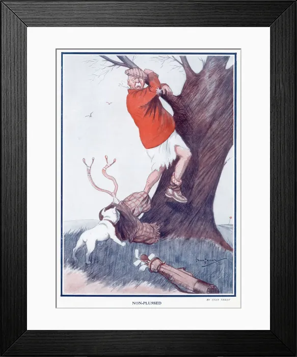 Framed Print : Non-plussed by Stan Terry Framed Print : Non-plussed by Stan Terry