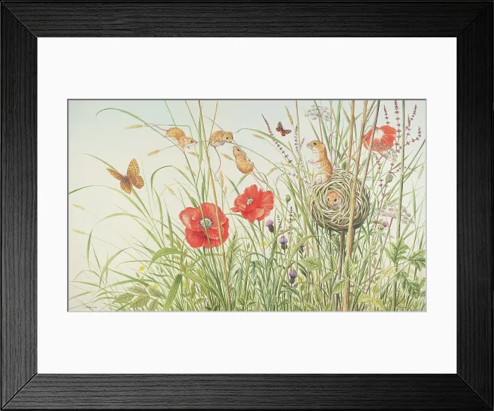 Framed Print : Harvest Mice Framed Print : Harvest Mice