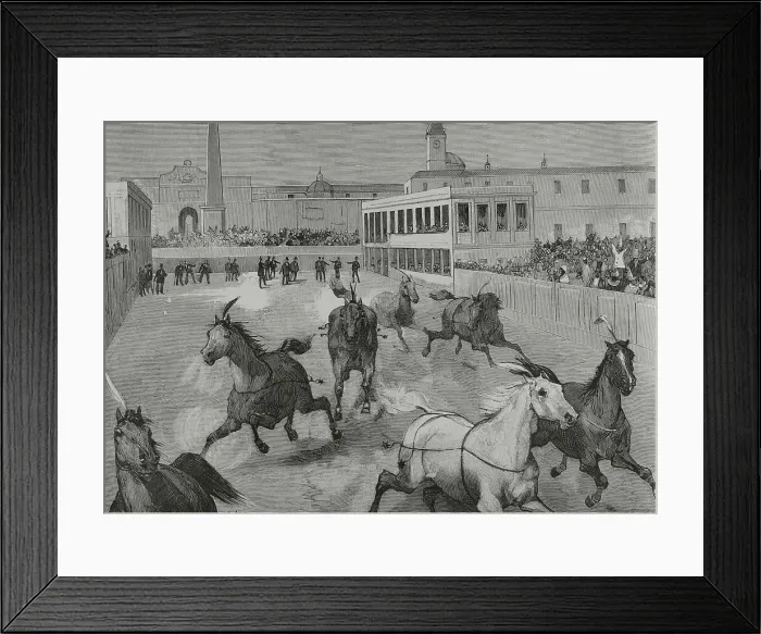 Framed Print : Italy, Rome. Spring carnival. The Race of the Barberi horses Framed Print : Italy, Rome. Spring carnival. The Race of the Barberi horses
