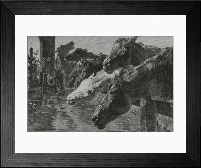 Framed Print : The water trough. Engraving after a painting by Koch Framed Print : The water trough. Engraving after a painting by Koch