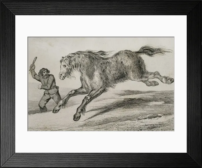 Framed Print : Siberian horse with winter coat - Lemaitre, Vernier, Monnin Framed Print : Siberian horse with winter coat - Lemaitre, Vernier, Monnin