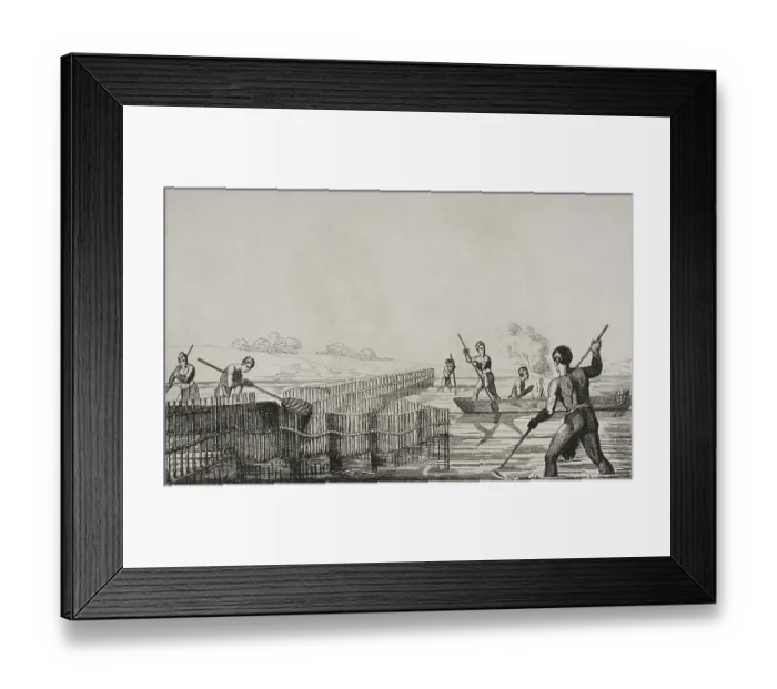Framed Print : 16th century French expedition - Seminole Indians fishing Framed Print : 16th century French expedition - Seminole Indians fishing