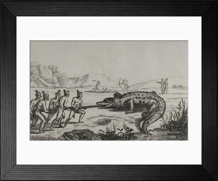 Framed Print : 16th century French expedition. Florida. Crocodile hunting Framed Print : 16th century French expedition. Florida. Crocodile hunting