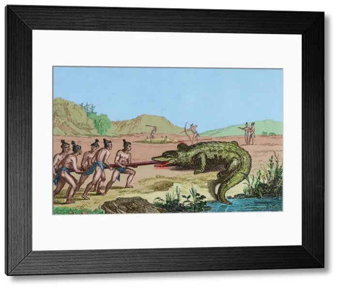 Framed Print : 16th century French expedition. Florida. Crocodile hunting Framed Print : 16th century French expedition. Florida. Crocodile hunting