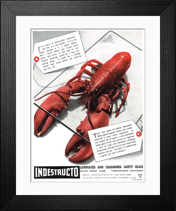 Framed Print : Indestructo Laminated & Toughened Safety Glass Framed Print : Indestructo Laminated & Toughened Safety Glass