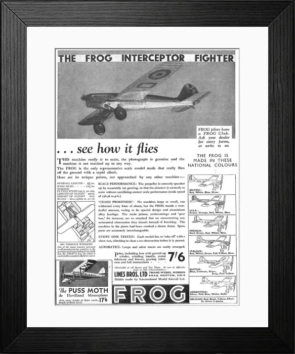 Framed Print : The Frog Interceptor Framed Print : The Frog Interceptor