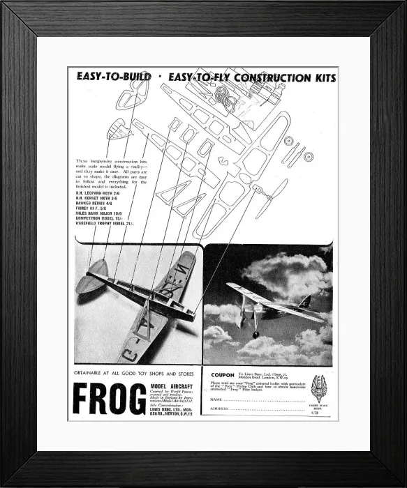 Framed Print : Frog Model Aircraft Framed Print : Frog Model Aircraft