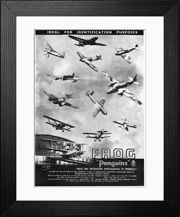 Framed Print : Frog Model Aircraft Framed Print : Frog Model Aircraft