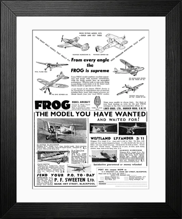 Framed Print : Frog Model Aircraft Framed Print : Frog Model Aircraft