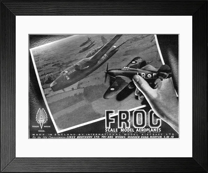 Framed Print : Frog Model Aircraft Framed Print : Frog Model Aircraft