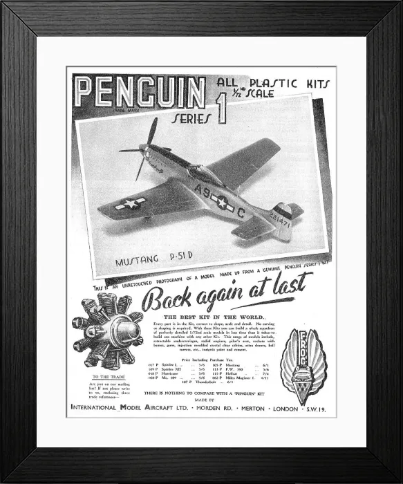 Framed Print : Penguin Model Aircraft Framed Print : Penguin Model Aircraft