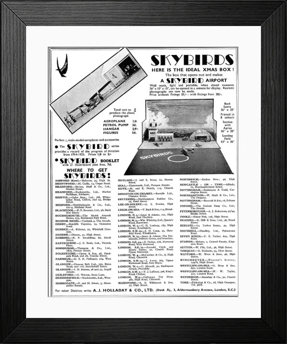 Framed Print : Skybirds Aircraft Display Models Framed Print : Skybirds Aircraft Display Models
