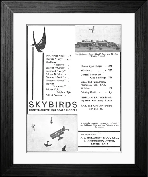 Framed Print : Skybirds Models Framed Print : Skybirds Models