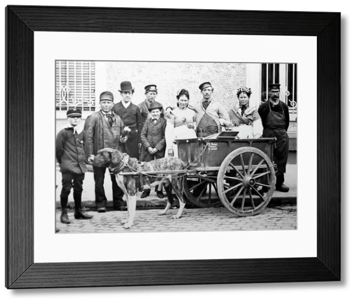 Framed Print : A Belgian dog cart, Victorian period Framed Print : A Belgian dog cart, Victorian period