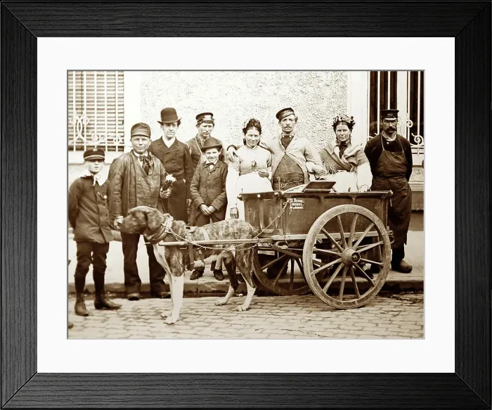 Framed Print : A Belgian dog cart, Victorian period Framed Print : A Belgian dog cart, Victorian period