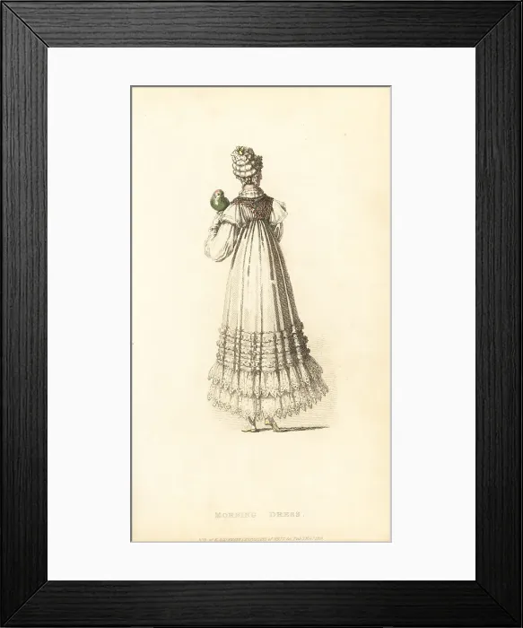 Framed Print : Regency lady in morning dress with pet parrot, 1816 Framed Print : Regency lady in morning dress with pet parrot, 1816