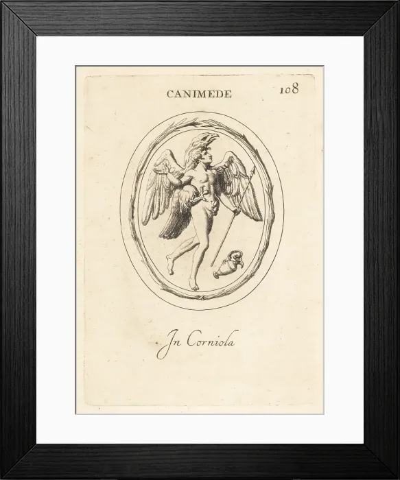 Framed Print : Ganymede carried off by Zeus disguised as an eagle Framed Print : Ganymede carried off by Zeus disguised as an eagle