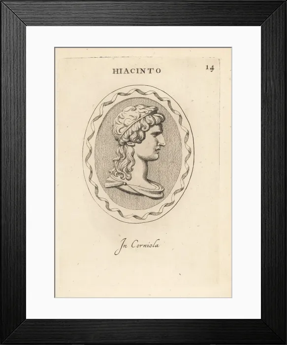 Framed Print : Bust of Hyacinthus, divine hero and lover of Apollo Framed Print : Bust of Hyacinthus, divine hero and lover of Apollo