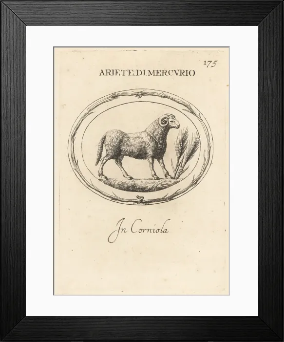 Framed Print : Ram of the Roman god Mercury Framed Print : Ram of the Roman god Mercury