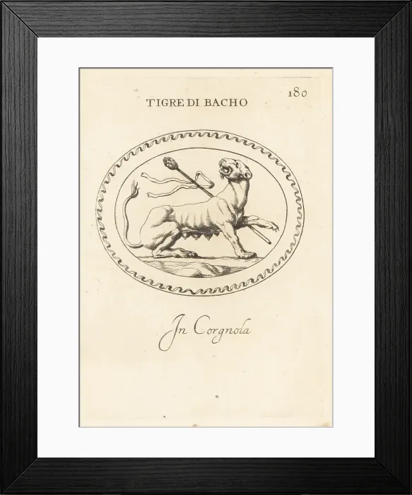Framed Print : Tiger representing Bacchus, Roman god of wine Framed Print : Tiger representing Bacchus, Roman god of wine