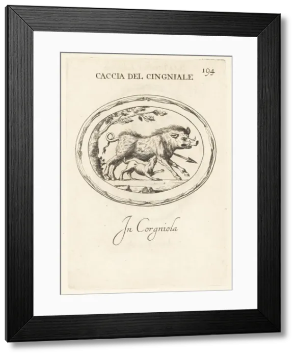 Framed Print : Wild boar hunting in ancient Rome Framed Print : Wild boar hunting in ancient Rome