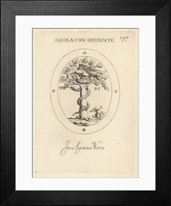 Framed Print : Eagle on its nest battling a snake in a tree Framed Print : Eagle on its nest battling a snake in a tree