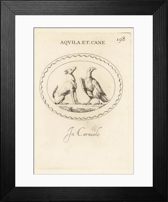 Framed Print : Eagle and dog, celestial or Zodiac signns Framed Print : Eagle and dog, celestial or Zodiac signns