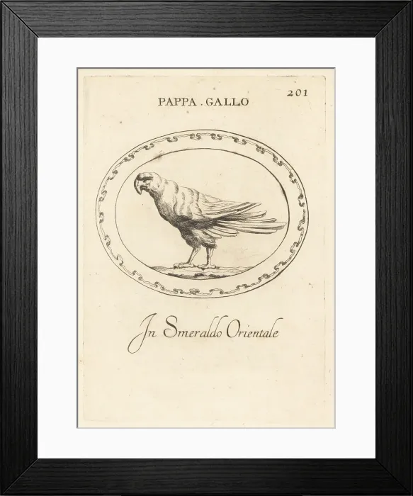 Framed Print : Parrot in oriental emerald Framed Print : Parrot in oriental emerald