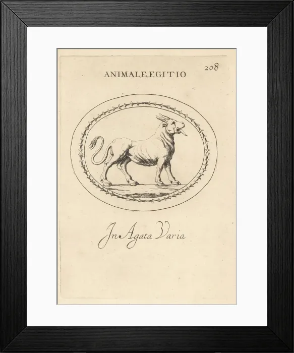 Framed Print : Egyptian chimera in variegated agate Framed Print : Egyptian chimera in variegated agate