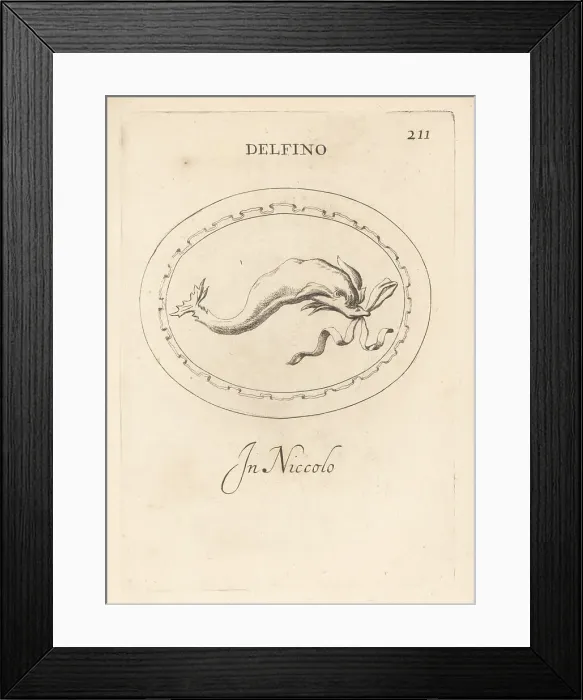 Framed Print : Dolphin, the sacred animal of Venus Framed Print : Dolphin, the sacred animal of Venus