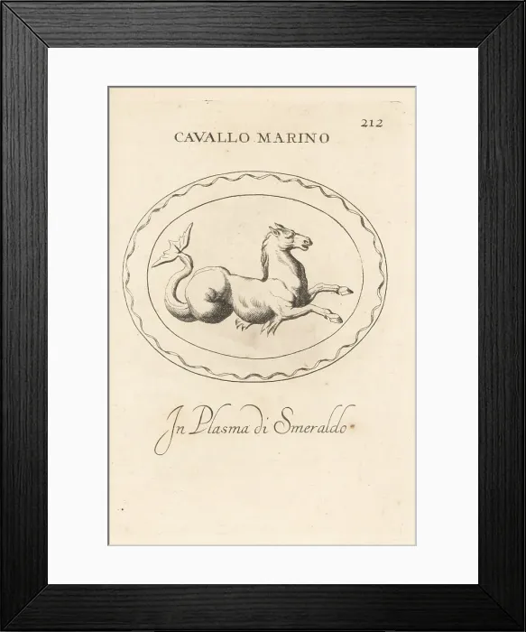Framed Print : Hippocamp, sacred animal chimera of Neptune Framed Print : Hippocamp, sacred animal chimera of Neptune