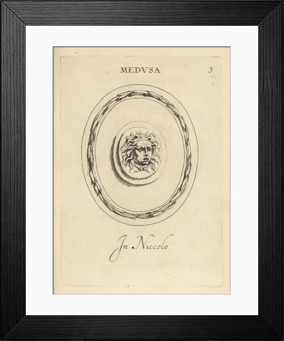 Framed Print : Head of the Greek Gorgon Medusa, with snakes in her hair Framed Print : Head of the Greek Gorgon Medusa, with snakes in her hair