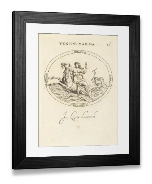 Framed Print : Venus riding Capricorn in the ocean Framed Print : Venus riding Capricorn in the ocean
