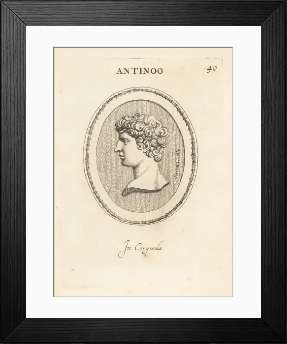 Framed Print : Bust of Antinous, Greek youth and favourite of Hadrian Framed Print : Bust of Antinous, Greek youth and favourite of Hadrian