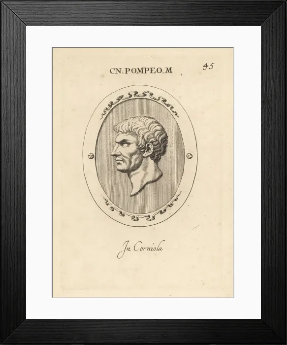 Framed Print : Bust of Pompey the Great, Roman general