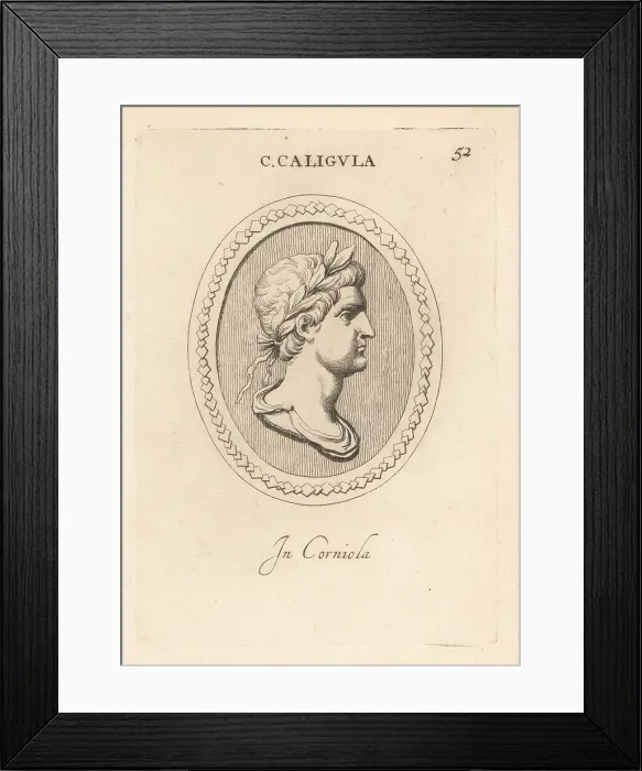 Framed Print : Bust of Gaius Caesar Augustus Germanicus or Caligula Framed Print : Bust of Gaius Caesar Augustus Germanicus or Caligula
