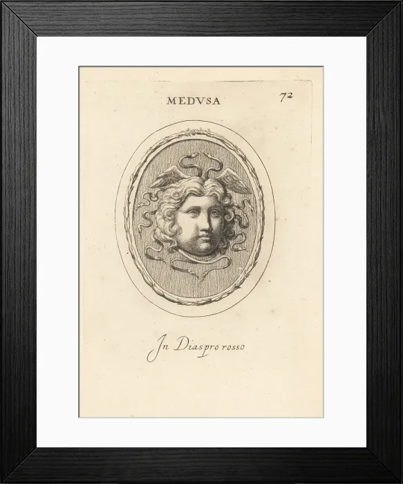 Framed Print : Head of the Gorgon Medusa with snakes and wings in her hair Framed Print : Head of the Gorgon Medusa with snakes and wings in her hair